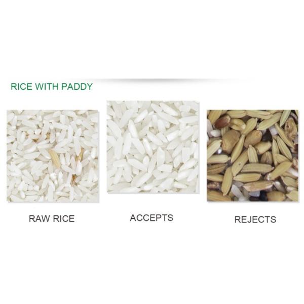 Personalised Paddy Hazelnut Pecan Sorter Machine For Rice Mill