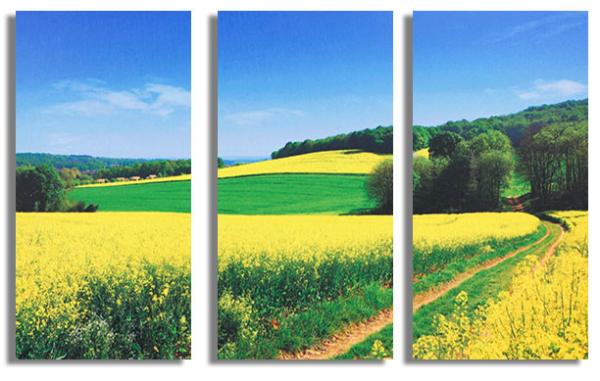Cheap Home Art Printed Acoustic Panel Soundproof Board Wall Decoration Painting for sale