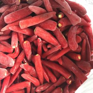 Best Wholesale Prices Spicy Taste IQF Frozen Vegetables / Jinta Red Chilli Without Stalks wholesale