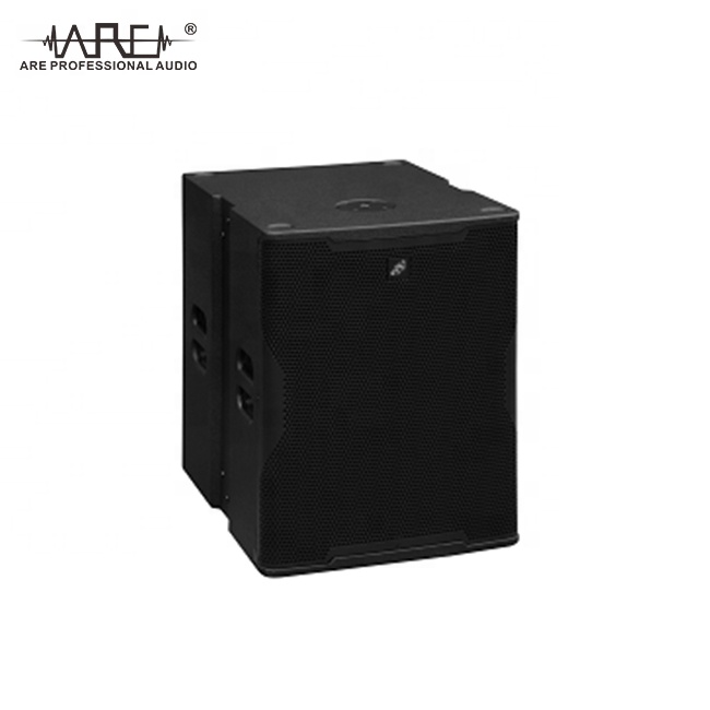 ARE Audio Single 10" Line Array Set Portable Line Array Professional Audio System Outdoor Line Array for Mini-show