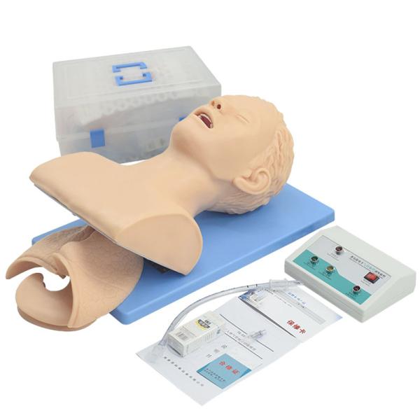 Human Tracheal Intubation Model Nasal Intubation Airway Training Simulator Model