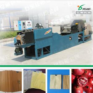 China Automatic paper bag making machine YSD-1D on sale