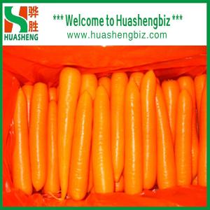 China Fresh Red Carrot on sale