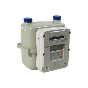 Customized LoraWAN/NB-IoT/GPRS Prepaid Postpaid Smart Gas Meter