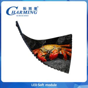 China 320×160×7.5MM Flexible Led Screen Module 270g Light P2 P2.5 P3 P4 Indoor Led Screen Module Event Led Screen on sale