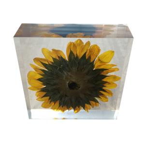 Best cubic Acrylic resin paper weight with custom embedding inside wholesale