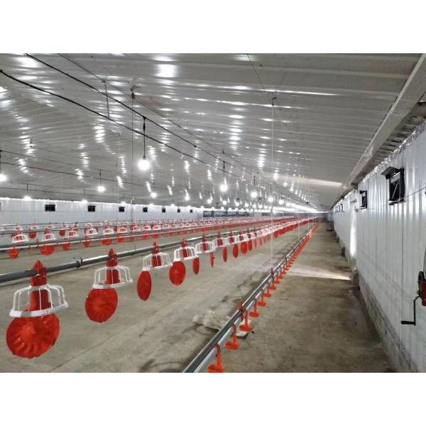 Prefabricated Steel Structure Poultry House Q235B Q355B Steel Frame Chicken House