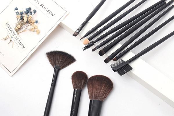 Blush Contour Cosmetics 12pc Synthetic Makeup Brush Set