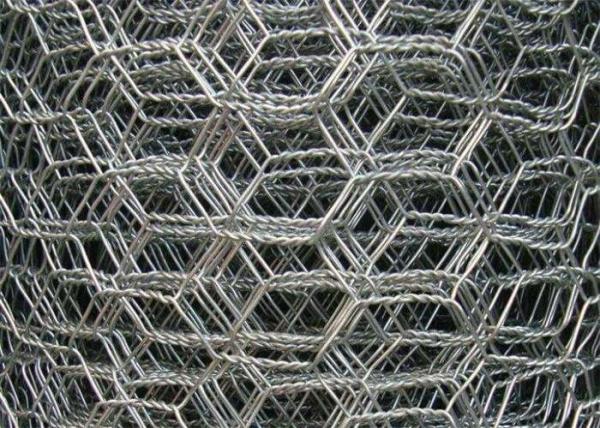 Cheap 2mm 25m Garden Rabbit Chicken Wire Mesh Roll Coop Welded Wire PVC Coated for sale