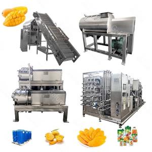 China 500kg/H Industrial Mango Processing Equipment For Juice 300T/D on sale