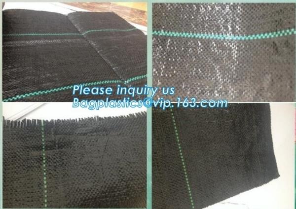 Anti Insect Net For Vegetable Supplier In China,Greenhouse Insect Net /garden netting for ventilation proof, bagease, pa