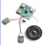 Customized Recordable Sound Module with microphone for sound greeting card