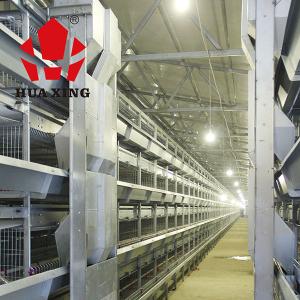 China Rational Structure Automatic Water Feeder For Chickens / Automatic Poultry Feeder For Broiler on sale