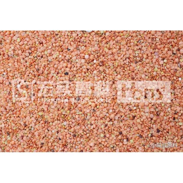 New Type 504 Channels Intelligent Lentils CCD Colour Sorter Manufacturer