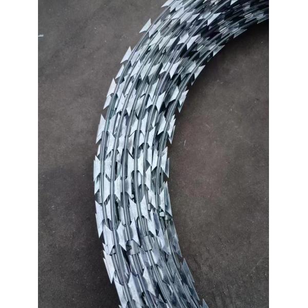 Cheap and high quality Factory Price Razor Wire Fence/ Razor Barbed Wire/ Galvanized Concertina Razor Wire