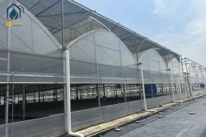 Best Multi Span Herb Greenhouse Farming UV Resistant With Hydroponic System wholesale