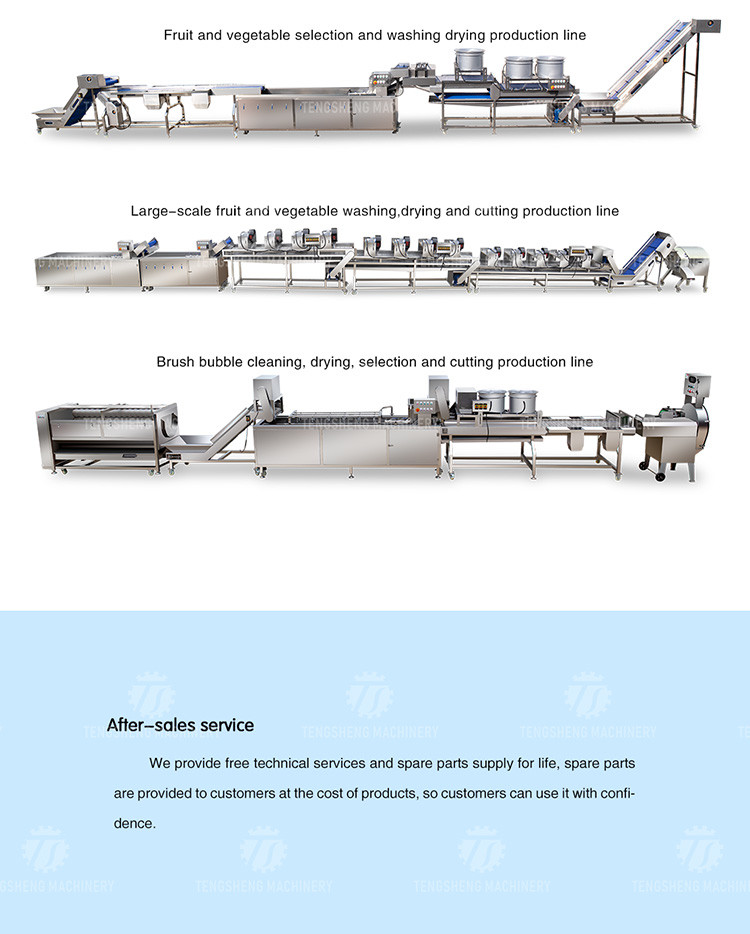 580KG Add large melon and fruit cleaning peeling machine large yield potato peeling machine taro peeling machine
