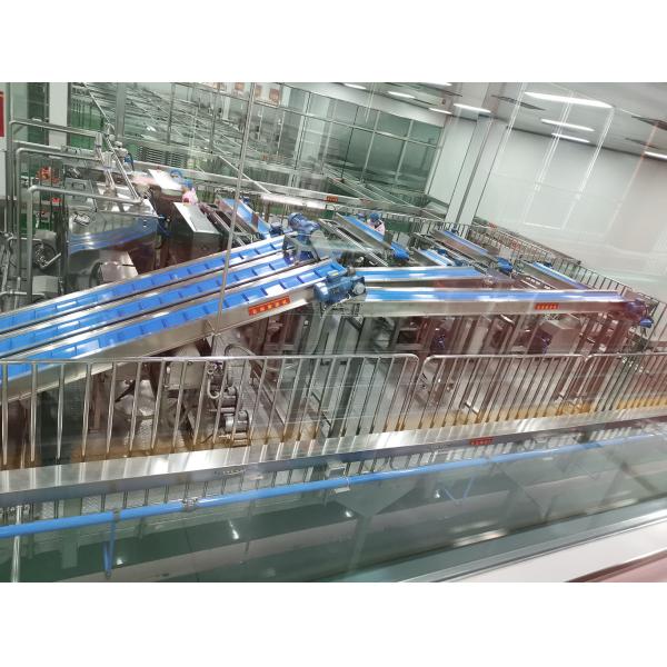 Industrial Food Packaging Machine Fully Automatic Snack Packaging Line