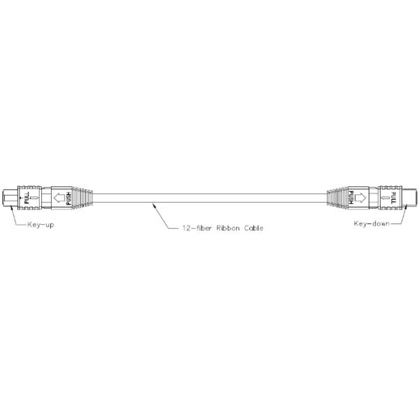 12 Core B Type MPO MTP Patch Cord with Customizable Length for High-Speed Data Networks