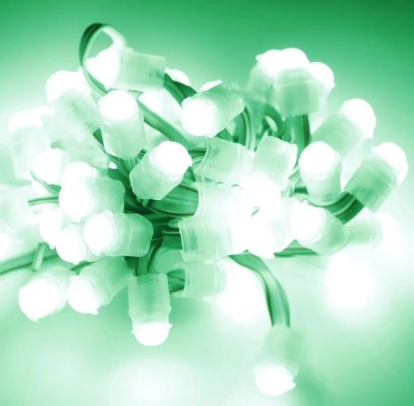 Cheap Led Smd Light String 12v 9mm Waterproof Green Pixel Light Led Advertising Light for sale