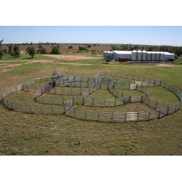 Anti Impact Galvanized Livestock Fence Panels Multi Terrain For Large Cattle / Horse Ranches