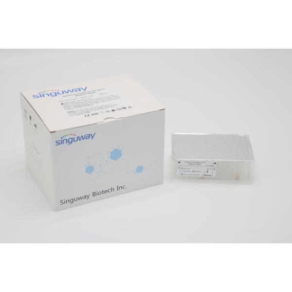 9-18 Min Automatic Nucleic Acid Extraction Kit Micro RNA Purification System OEM