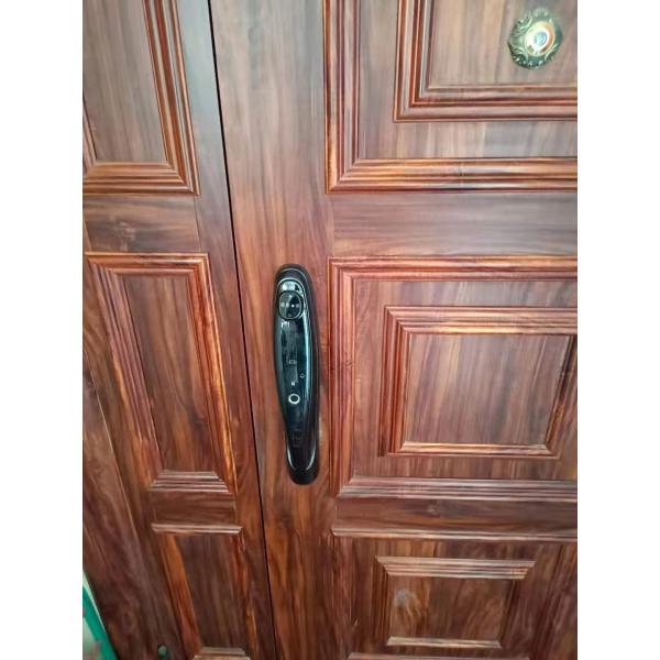 3D Face Digital Biometric Smart Fingerprint Door Lock