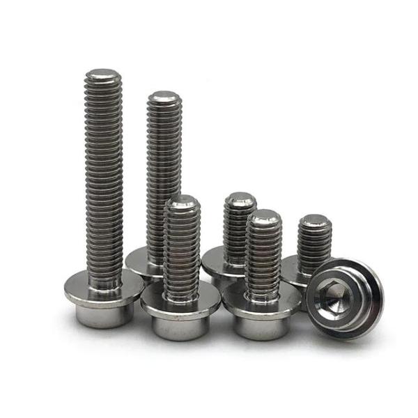 M6 Titanium Screws High Strength Titanium Fasteners Cup Head Hexagonal Screw