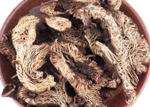 China Black Cohosh Slices Traditional Chinese Herbal Medicine For Relieving Exterior Syndrome on sale