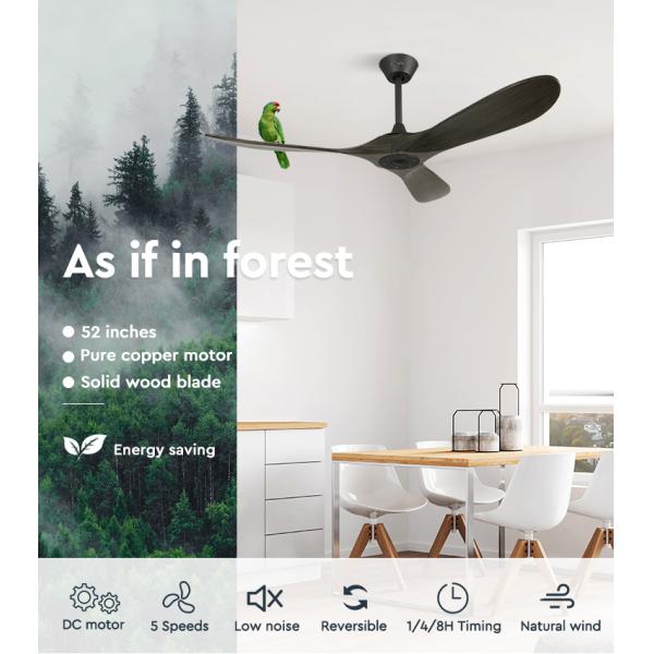 Decor Dc Solid Blade 52 Inches Ceiling Fan With Remote Control