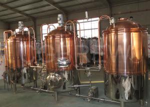China 300L stainless steel craft beer brewing equipment commercial for brewpub/restaurant/bar on sale