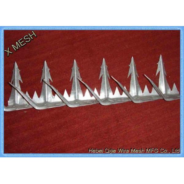 Galvanized Metal Wire Mesh Anti - Creeped Wall Spike 2mm Thickness