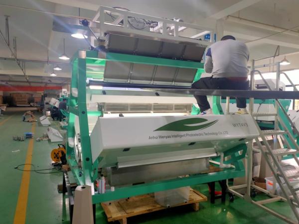 Cheap WENYAO Tea Sorting Machine High Capacity With LED CCD Sensor for sale