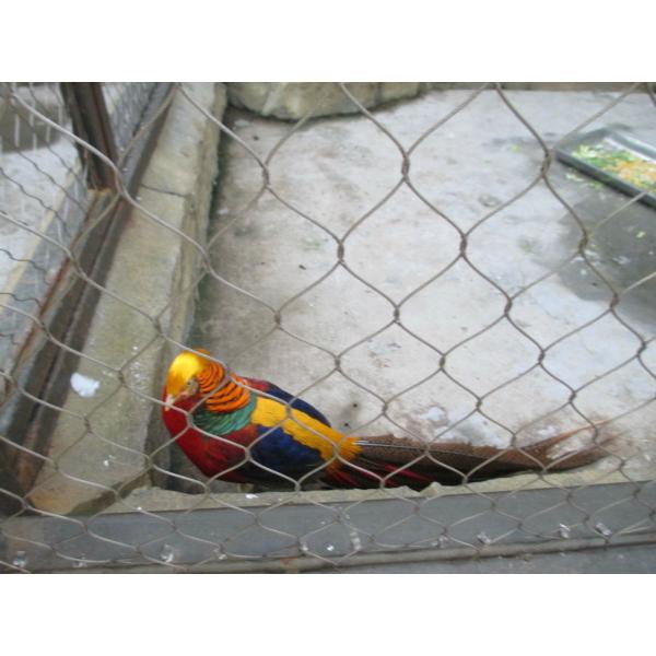 1.2mm Dia Bird Safe Wire Mesh Knotted 30mm Mesh Eye Size Inox Wire Rope