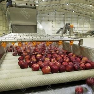 Best Apple Processing Line For Machinery And Comprehensive Engineering wholesale