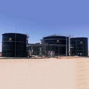 Best Gas Holder In Biogas Treatment System Biogas Electricity Plant Cost wholesale