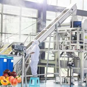 Best Professional Peach Processing Plant Plum Concentration Processing Line wholesale