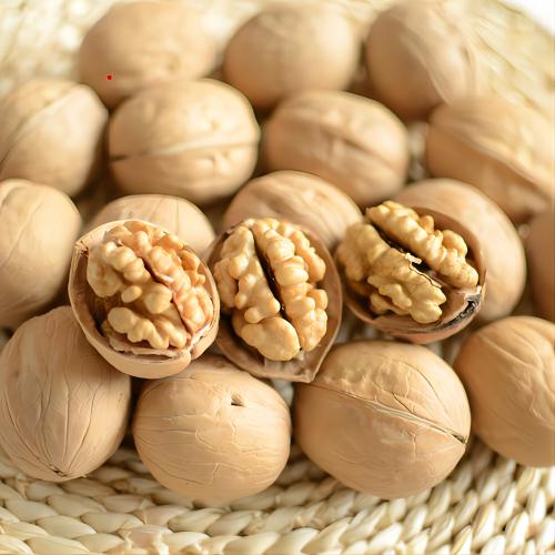 Walnut wholesale price paper shell walnut thin shell Xinjiang walnut washed 185 walnut