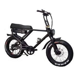 Rear Carrier Battery Position 750W Bafang Motor Electric Bicycle for Urban Commuting