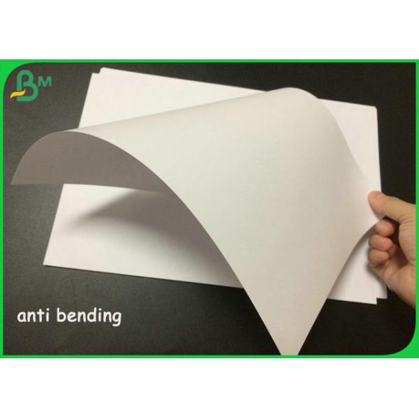 Eco-friendly Offset Printing Paper Roll 140gram for Paper Bag 