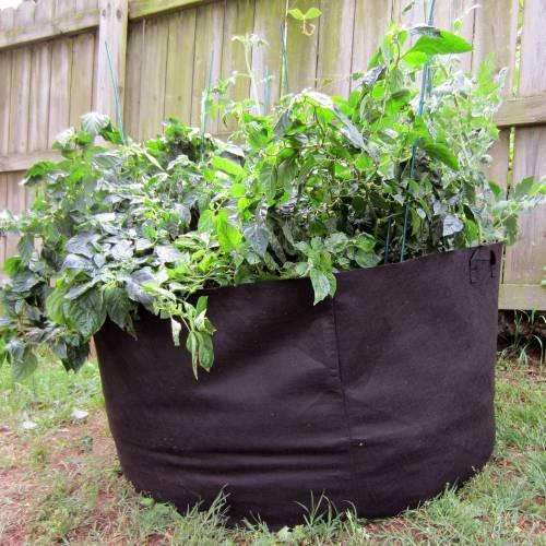 Multi Color Plant Grow Bags Gardening Non - Woven Material Customized Volume