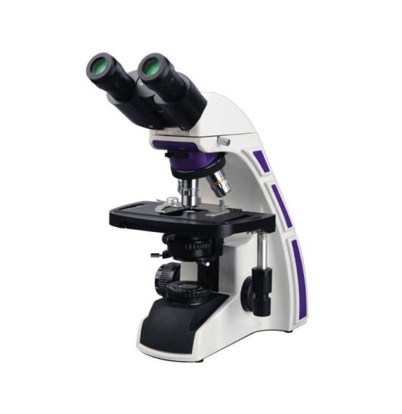 Cheap 3w Led Finity System Student Compound Microscope for sale