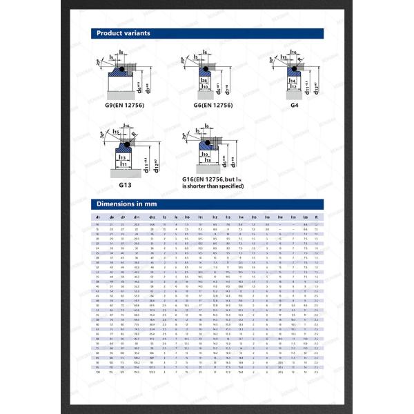 BERGMAN Replaces John Crane 2100-K 12mm-100mm G60 G4 G6 G9 G13 G16 BS Bo BP Pump Mechanical Seal