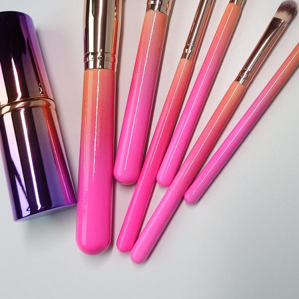 Multifuction Cosmetic Brush Kit Gradient Color Perfect Finish