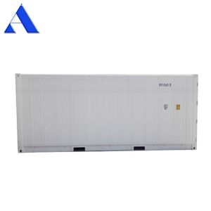 20ft Reefer Container Thermo King Refrigerated Cooler with External Dimensions