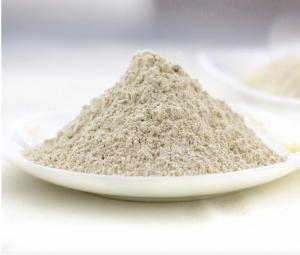 Best Root Part Dried Garlic Granules Dehydrated Bulk Garlic Powder Natural Color Taste wholesale