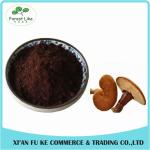 Reishi Mushroom / Lucid Ganoderma Extract Polysaccharides 10% - 60%