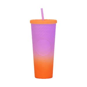 China Collections Tumbler With Lid And Straw Insulated Double-Wall Acrylic Cup on sale