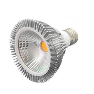 Best PAR30 led light COB 12W wholesale
