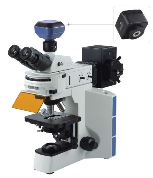 Cheap Phase Contrast Inverted Fluorescence Microscope Built In Transmitted Koehler Illumination for sale